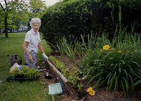 Zonta Locust Garden 2012 Dorothy Webster