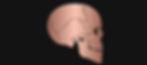 Screenshot_20221027-165517_Gallery_edited.jpg