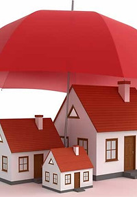 Artikel-500_Memiliki-Lebih-Dari-Satu-Asu