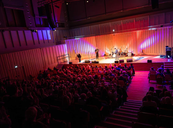 Tom As Usual Show.  Tom Jones Tribute Show