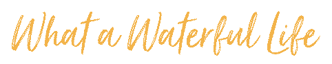 Waterful.gif