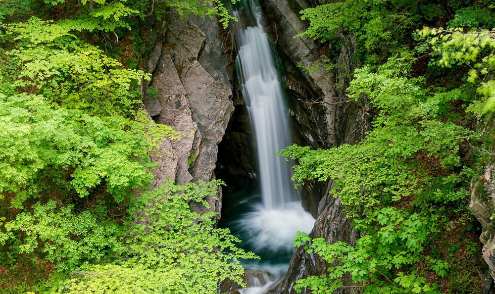 acqua purissima di montagna