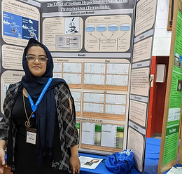 Screenshot 2024-05-08 at 12.01.44 PM.png