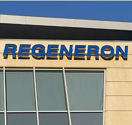 Screenshot 2023-10-29 at 9.22_edited.jpg