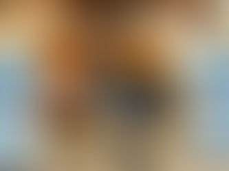 YPIE Students Present at Y-Zone Press Conference in Yonkers