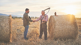 istockphoto-1257795833-612x612_edited.pn