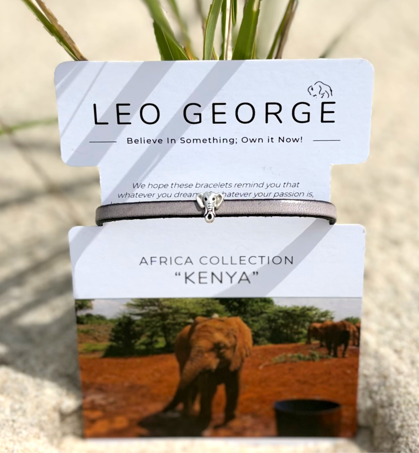 Kenya - Elephant
