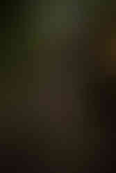 devils lake hiking elopement east bluff trail