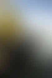 Cave Point County Park Elopement