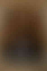 Wisconsin Capitol Elopement