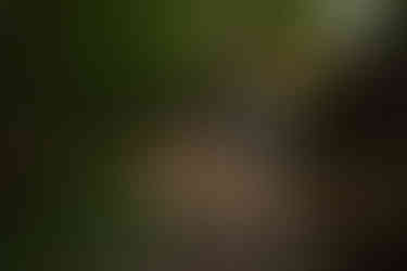 devils lake hiking elopement east bluff trail