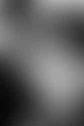 Cambridge Winery Wedding