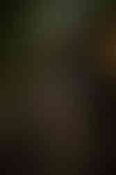 devils lake hiking elopement east bluff trail