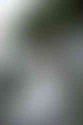 bride and groom on tumbled rocks trail devils lake