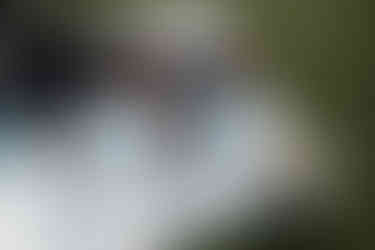 devils lake elopement picnic