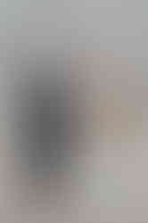 proposal at the capitol in madison