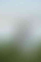 devils lake hiking elopement