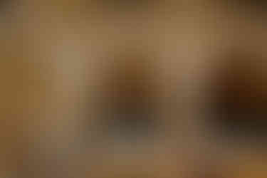 wisconsin capitol elopement