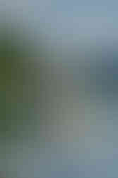 Devil's Lake Paddle Boarding Elopement