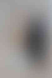 proposal at the capitol in madison