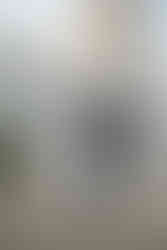 wisconsin capitol elopement