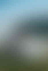 devils lake elopement picnic