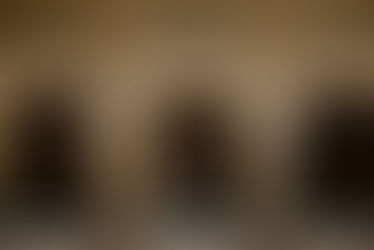 How to get married at the Wisconsin State Capitol in Madison