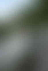 bride and groom on tumbled rocks trail devils lake