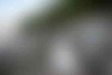 bride and groom on tumbled rocks trail devils lake