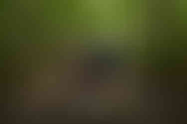 devils lake hiking elopement east bluff trail