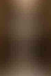 bride and groom in elevator wisconsin capitol