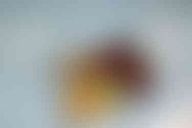 devils lake elopement picnic