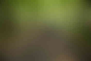 devils lake hiking elopement east bluff trail