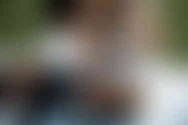 devils lake elopement picnic