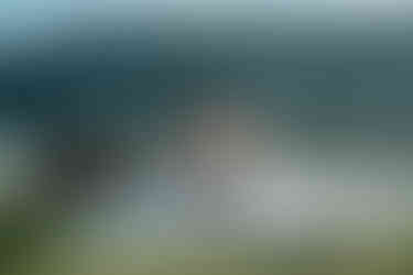 devils lake elopement picnic