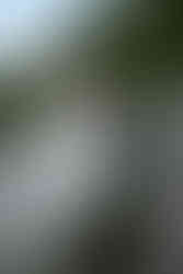 bride and groom on tumbled rocks trail devils lake