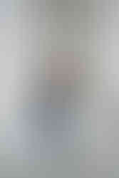 wisconsin capitol elopement