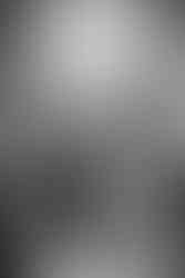 Wisconsin Capitol Elopement ceremony