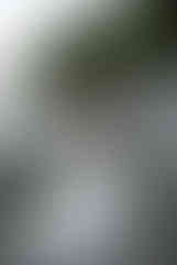 bride and groom on tumbled rocks trail devils lake