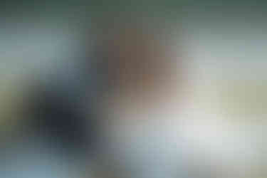 devils lake elopement picnic