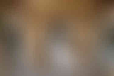 Pavilion at Orchard Ridge Wedding