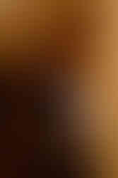 wisconsin capitol elopement