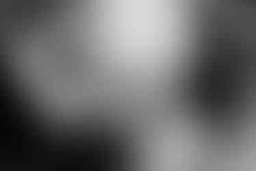 Cambridge Winery Wedding