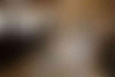 Pavilion at Orchard Ridge Wedding