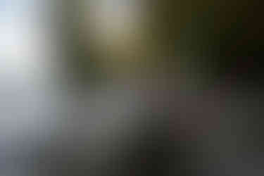 Cave Point County Park Elopement