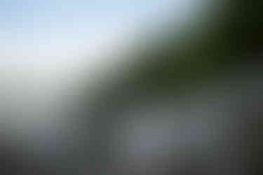 bride and groom devils lake