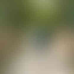 wedding at urban ecology center milwaukee