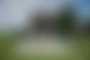 Castle vineyard wedding