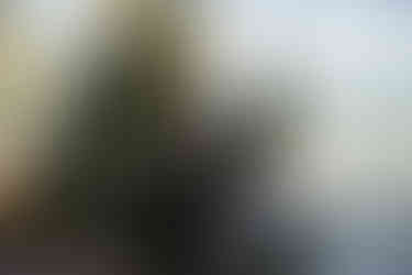 Cave Point County Park Elopement