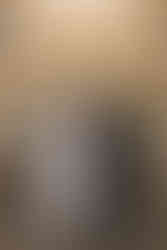 Wisconsin Capitol Elopement